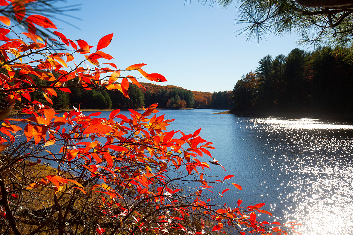 Glastonbury Orthodontics | Orthognathic Surgery, Adult Orthodontics and Comprehensive Orthodontics